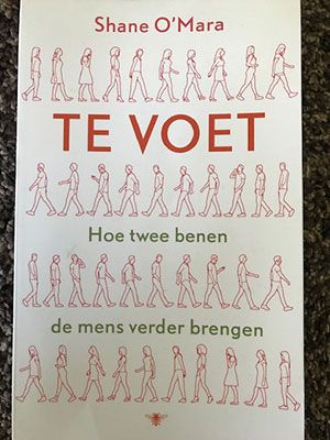 Te voet, een beok van Shane O'Mara